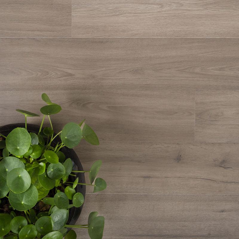 Solide plank Marjolein | Douwes Dekker | Pressed bevel 4V-Groef | sfeerbeeld 1