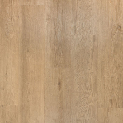 Riante plank Gemberkoek | Douwes Dekker | Dryback Plak PVC