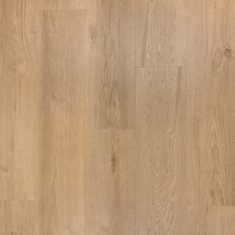 Staal van Riante Plank Gemberkoek | Douwes Dekker | Klik PVC Rigid