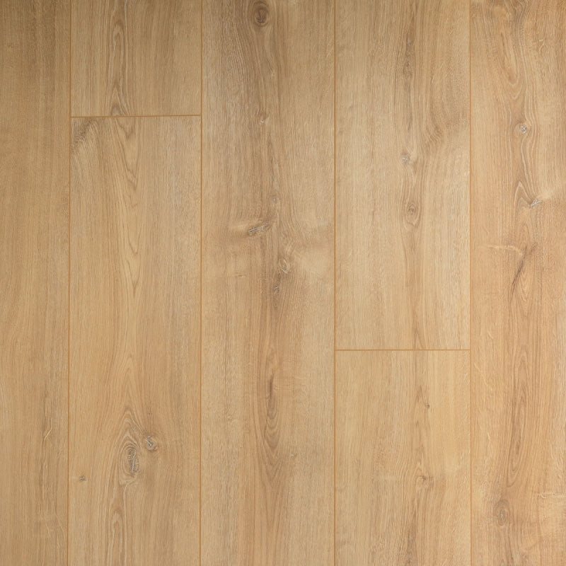 Staal van Douwes Dekker Bacilicum | Extra lange plank | 4V-Groef Laminaat