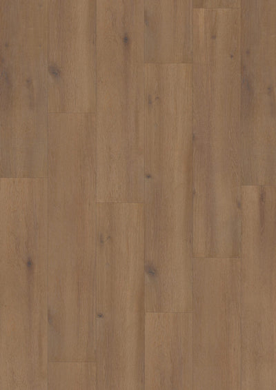 Hoomline Laminaat | Elite XL V4 | Waal 6079 | 4V-Groef