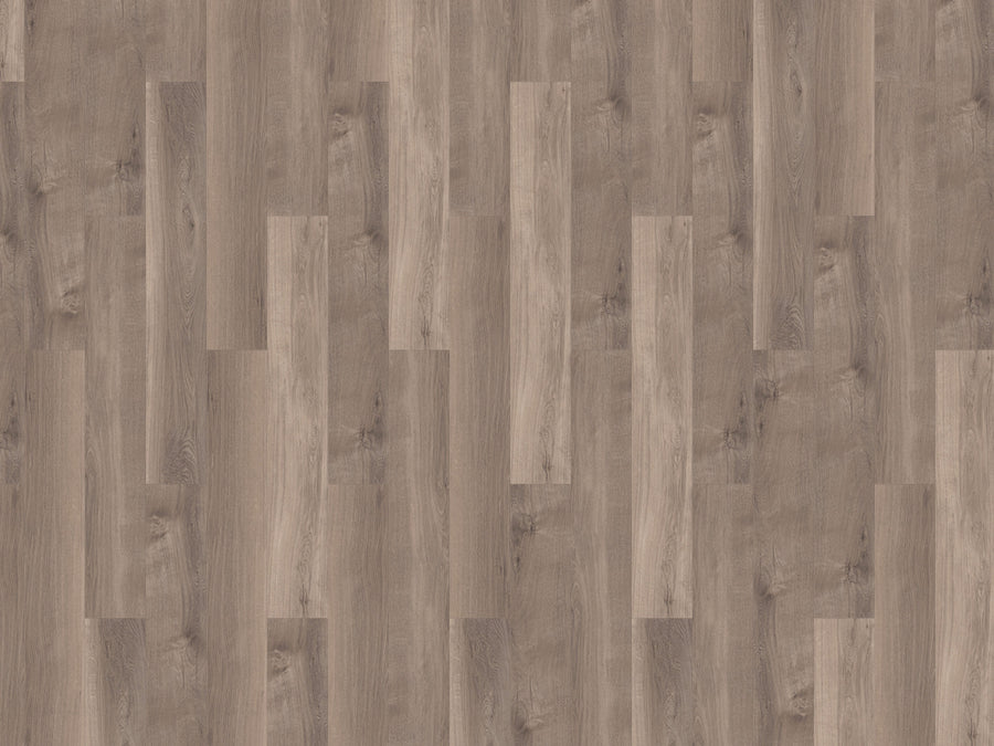 mFLOR 41817 Broad Leaf Smoky Sycamore | Dryback Plak PVC