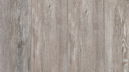 COREtec The Essentials XL+ 954 Ellis Oak | Large Plank | Click PVC