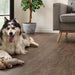 COREtec The Essentials HD 9601 Jasper Oak | Click PVC