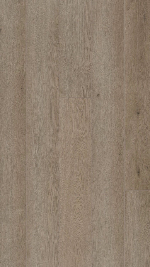 COREtec Proplus+ 1214 Perot | Click PVC