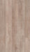 COREtec Proplus+ 1227 Willis | Click PVC