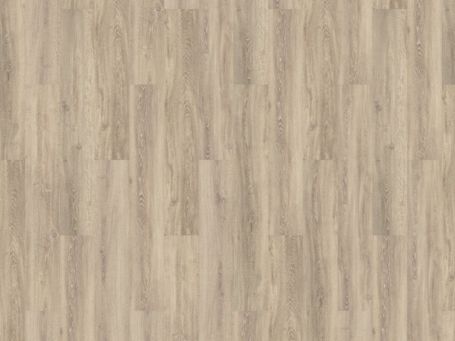 mFLOR 56319 Authentic Oak XL Sardinia | Dryback Plak PVC