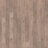 mFLOR 81031 Authentic Plank Ferne | Dryback Plak PVC