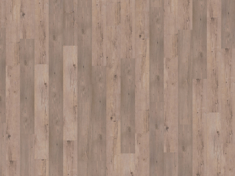 mFLOR 81031 Authentic Plank Ferne | Dryback Plak PVC