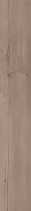 mFLOR 81031 Authentic Plank Ferne | Dryback Plak PVC