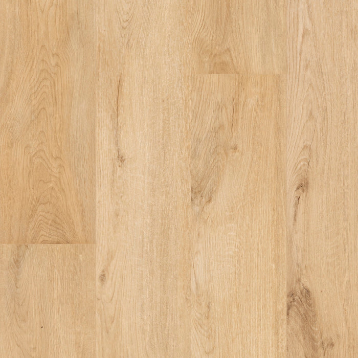 Floorify XL Planken Sabayon F101 | Click PVC Rigid