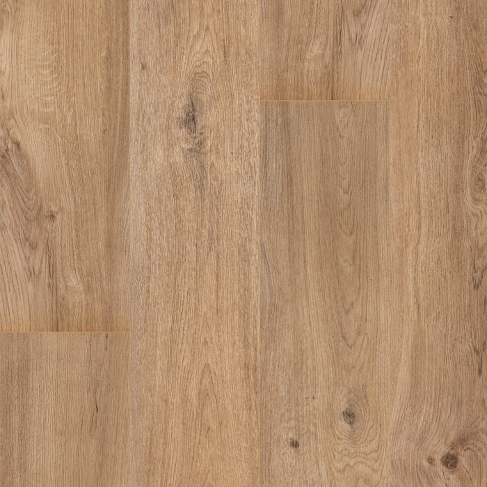 Floorify XL Planken Teddy Bear F102 | Click PVC Rigid