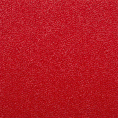 TFD Touch Leather LZ04 | Plak PVC Dryback