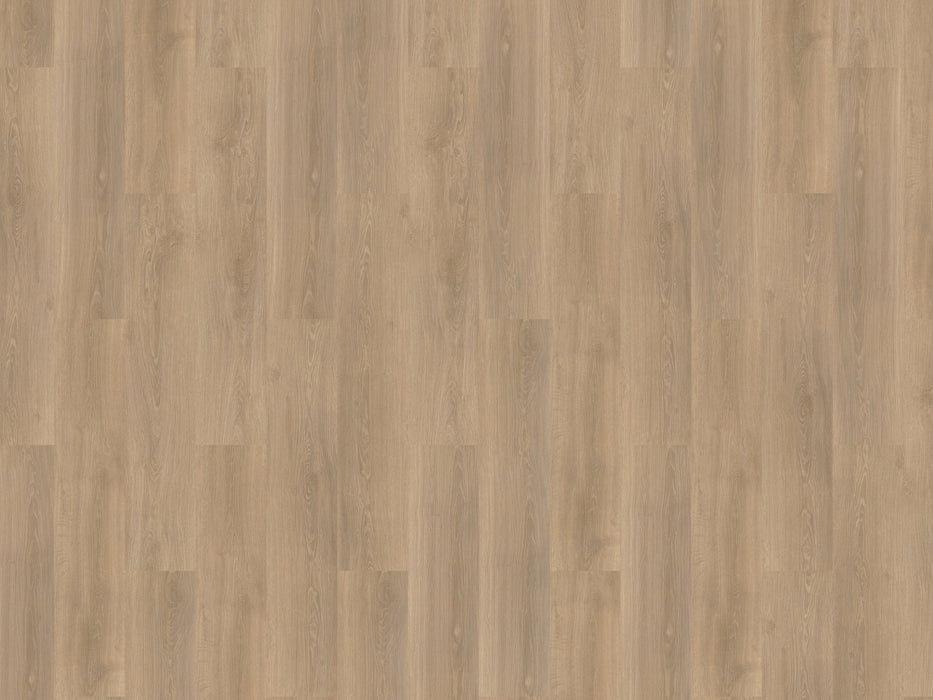 mFLOR River Oak 63019 Rhone | Dryback Lijm PVC