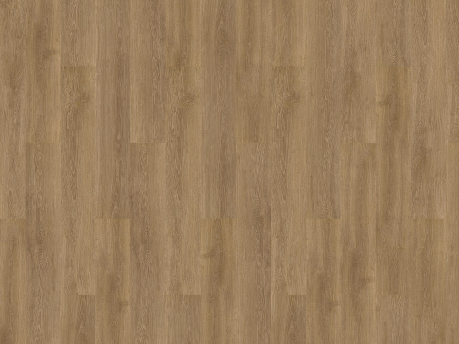 mFLOR River Oak XL 73022 Danube | Extra Large plank | Dryback Lijm PVC