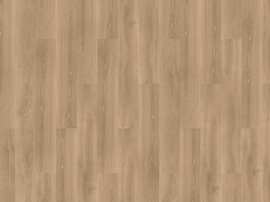 mFLOR River Oak XL 73029 Tarn | Extra Large plank | Dryback Lijm PVC