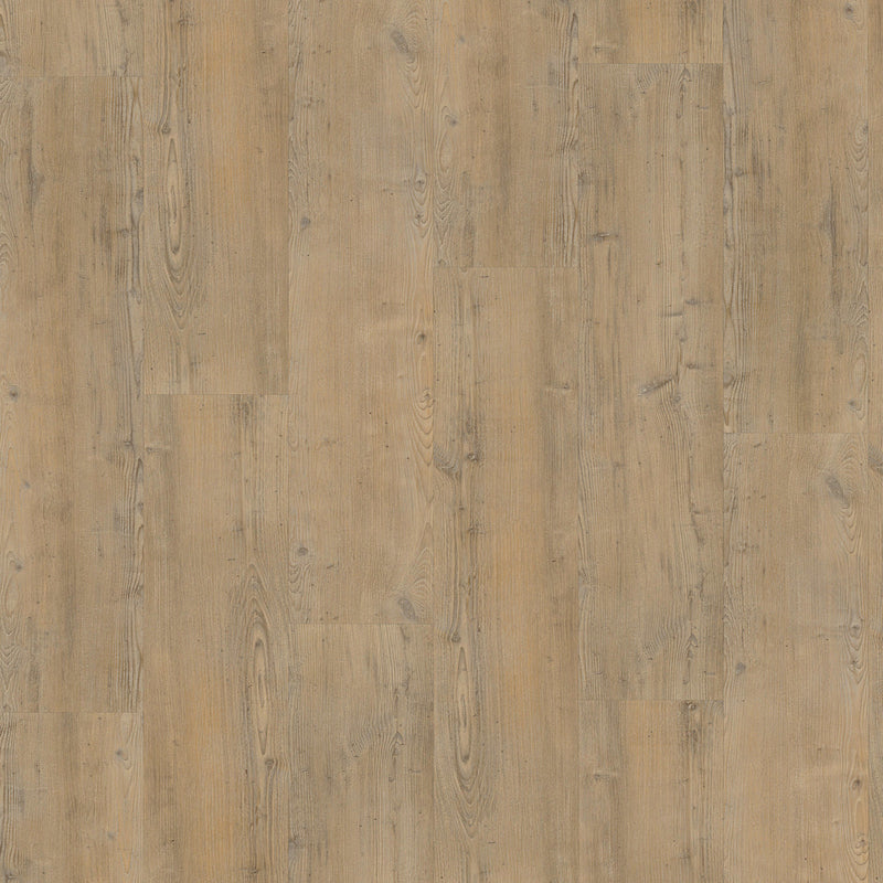 Staal van Vivafloors 4203 | Naaldhout | Click PVC Rigid